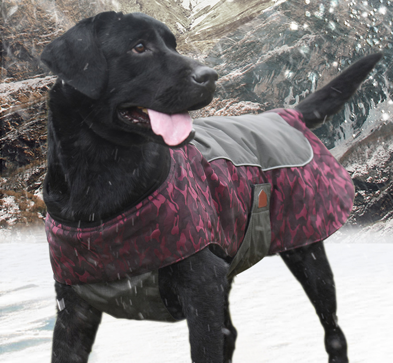 Winterjacke für Hunde