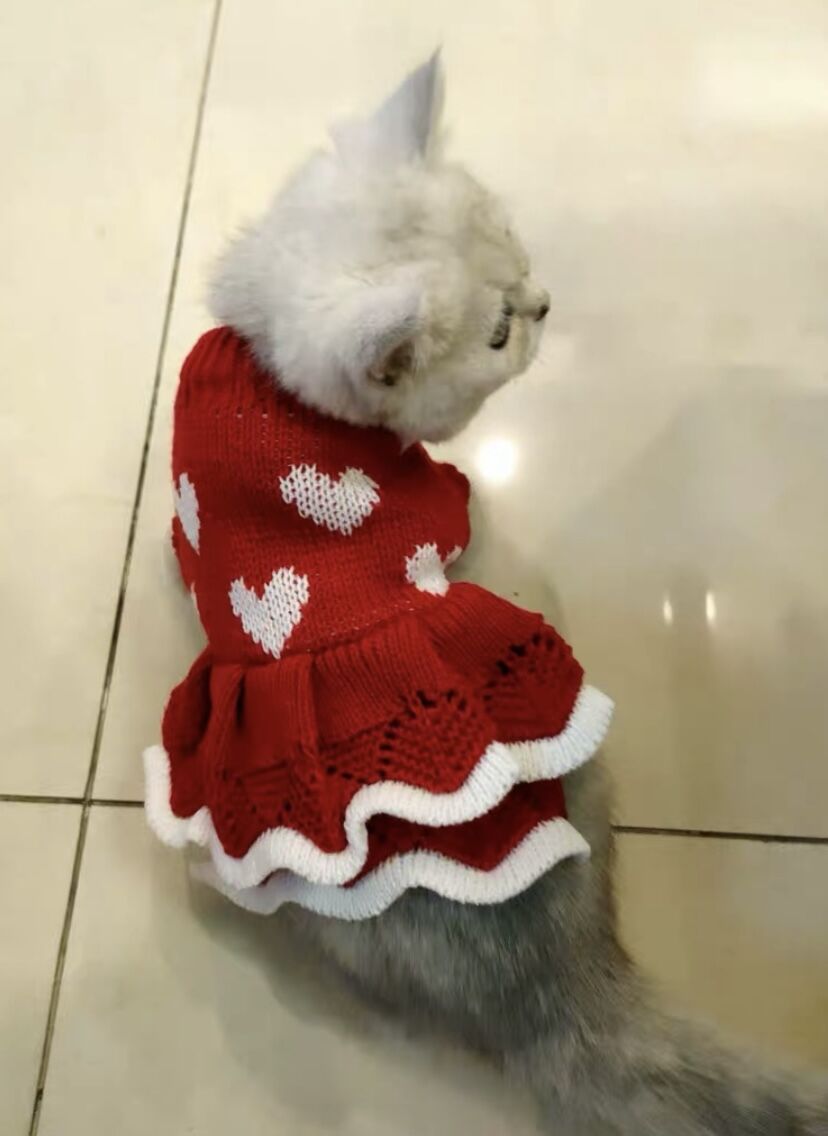 Roter Prinzessinnenpullover für Hunde | LuxeStyle