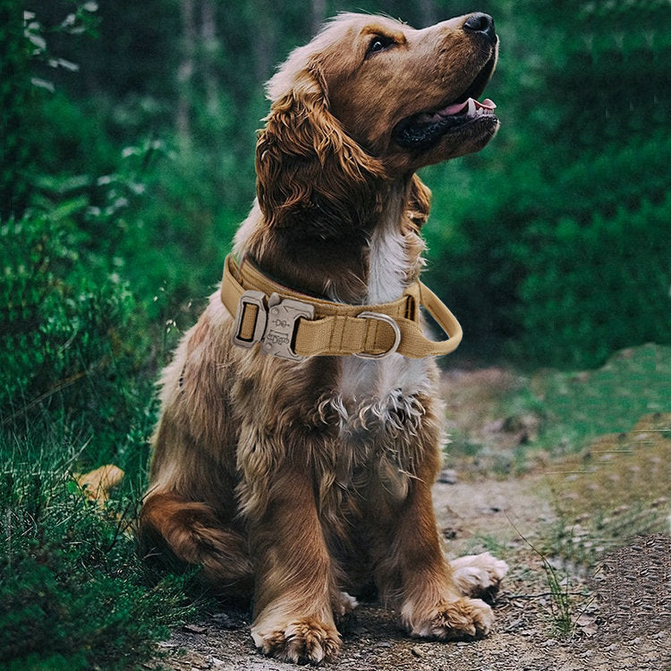 Hundekragen mit Stahlbügel – Bild 8 | LuxeStyle