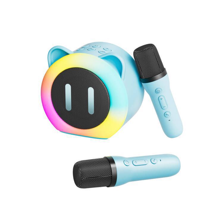 Karaoke Bluetooth Lautsprecher mit Mikrofon