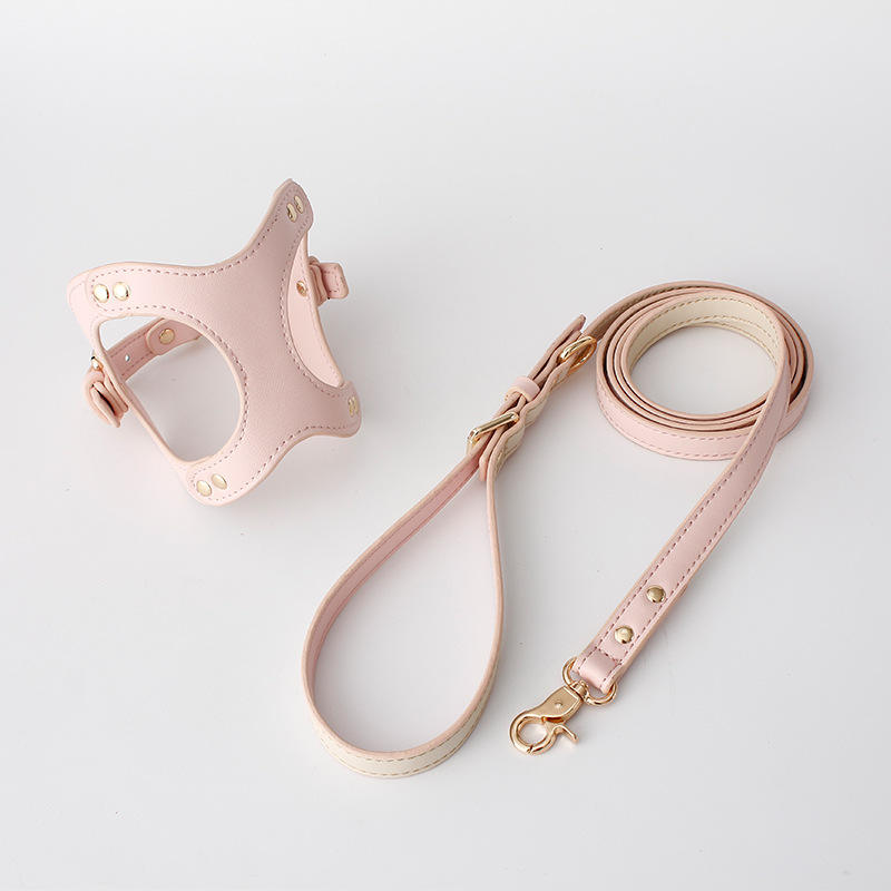 Fashion Brustgeschirr mit Leine für Hunde – Bild 17 | LuxeStyle