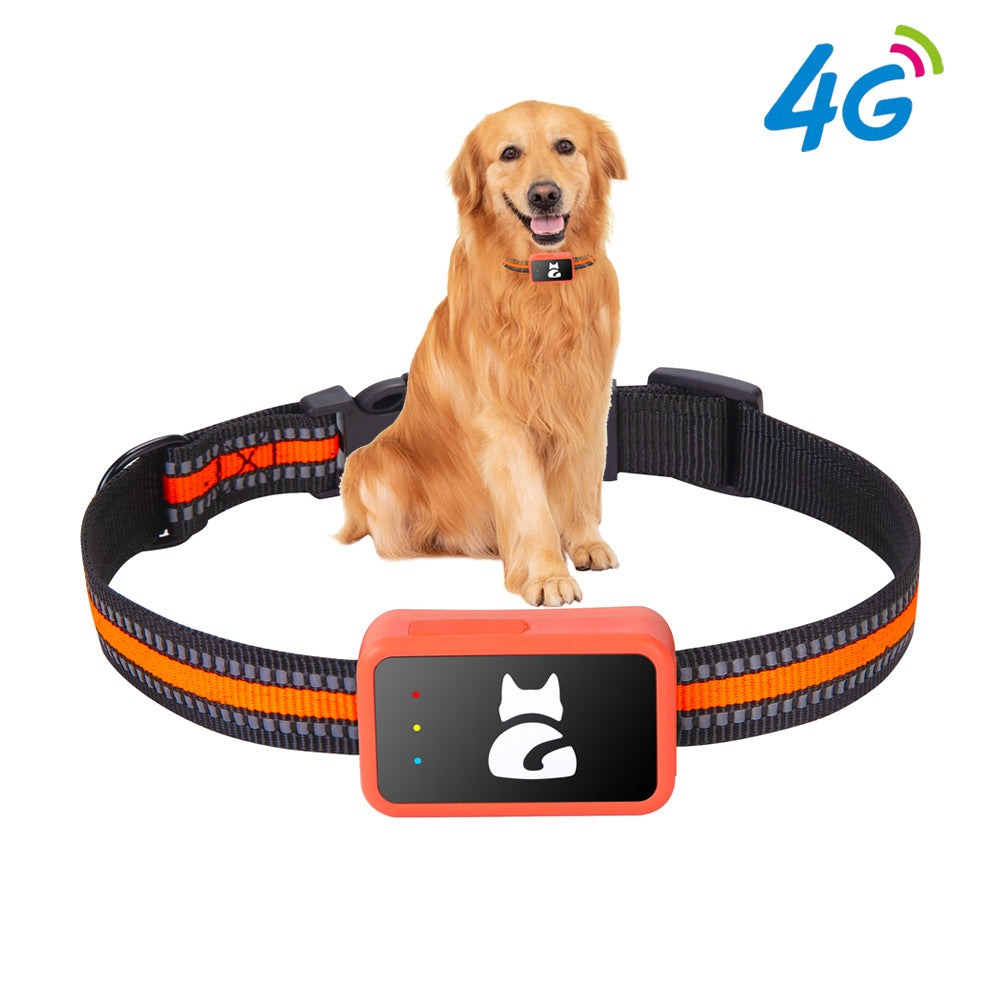 GPS-Halsband für Haustiere: Anti-verloren & Anti-Diebstahl Tracker
