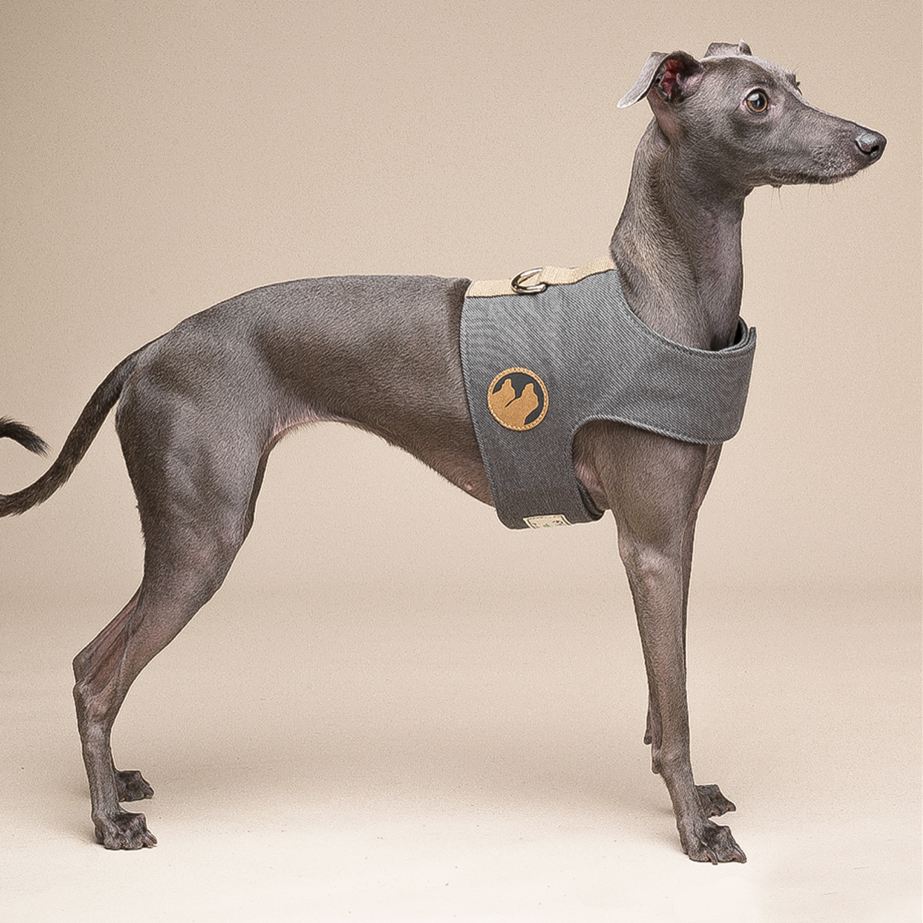 Hundegeschirr mit Leine für kleine Hunde – Bild 5 | LuxeStyle