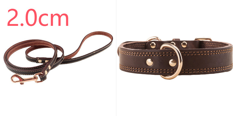 Lederverstärkter Hundehalsband – Bild 2 | LuxeStyle