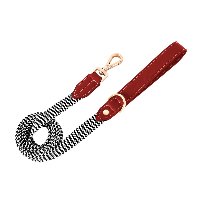 Halsband oder Brustgeschirr mit Leine für Hunde – Bild 2 | LuxeStyle