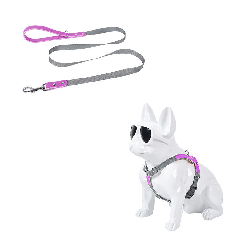 Hundegeschirr aus Leder mit Nylonleine – Bild 6 | LuxeStyle
