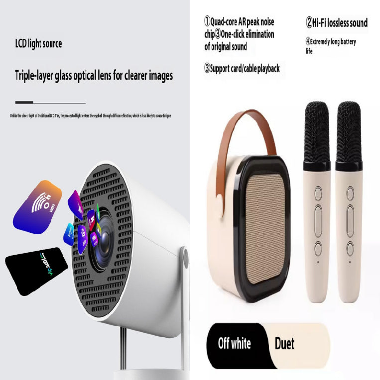 Kabelloses Bluetooth KTV Mikrofon-Set