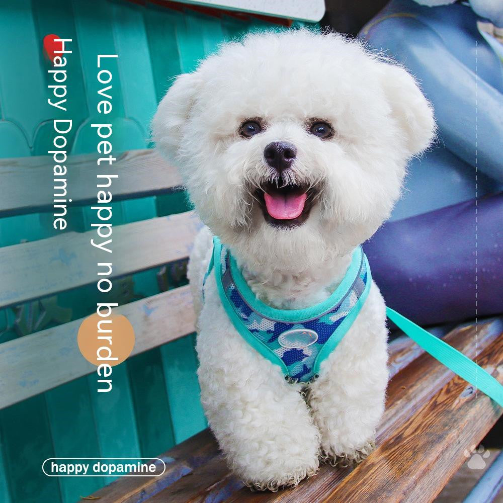 Hundegeschirr mit Leine und Tasche | LuxeStyle