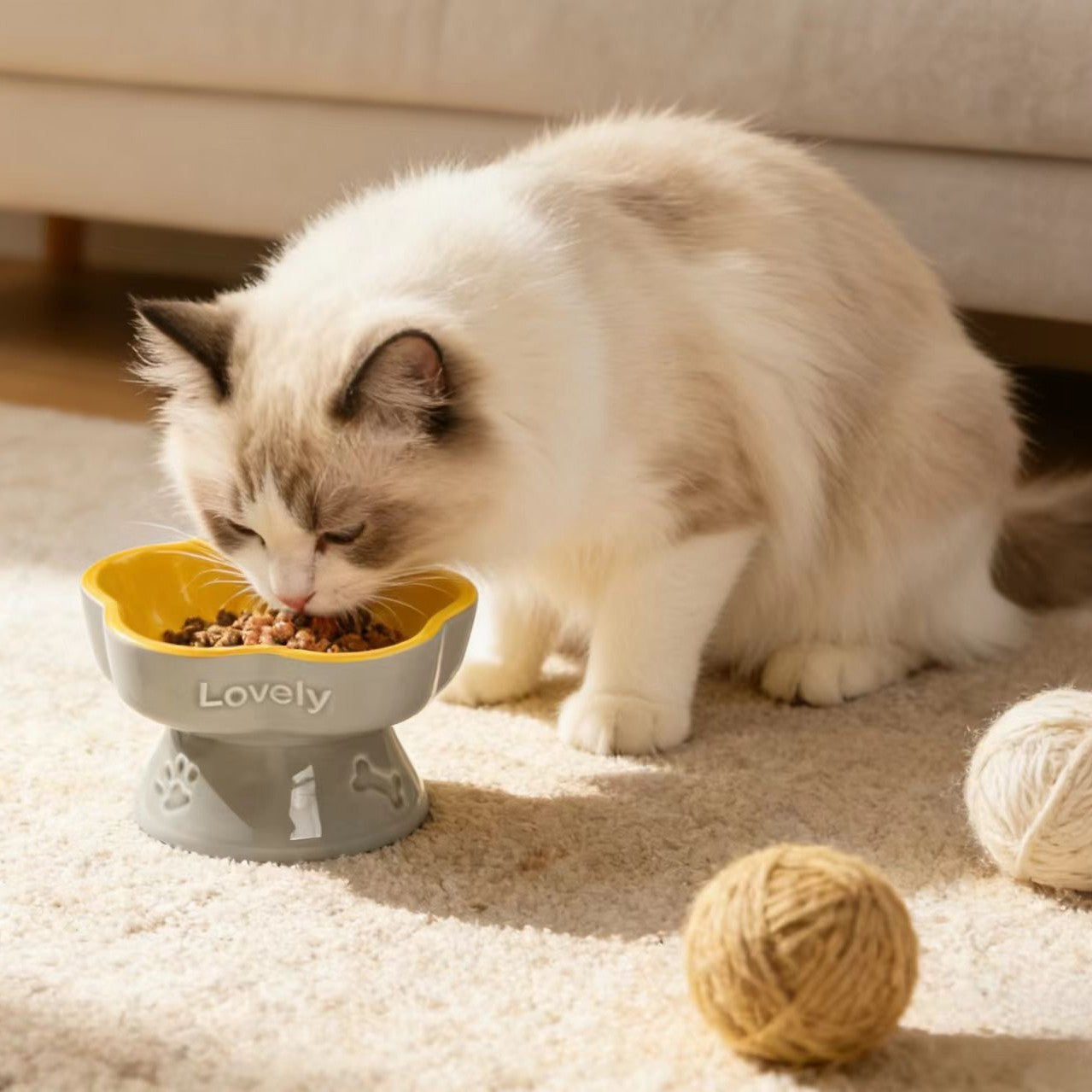 Keramik-Futternapf für Hunde & Katzen