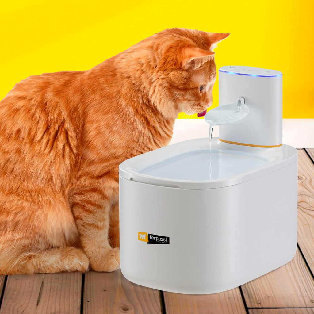 Dein Tier-Trinkbrunnen: Frisches Wasser, jederzeit!
