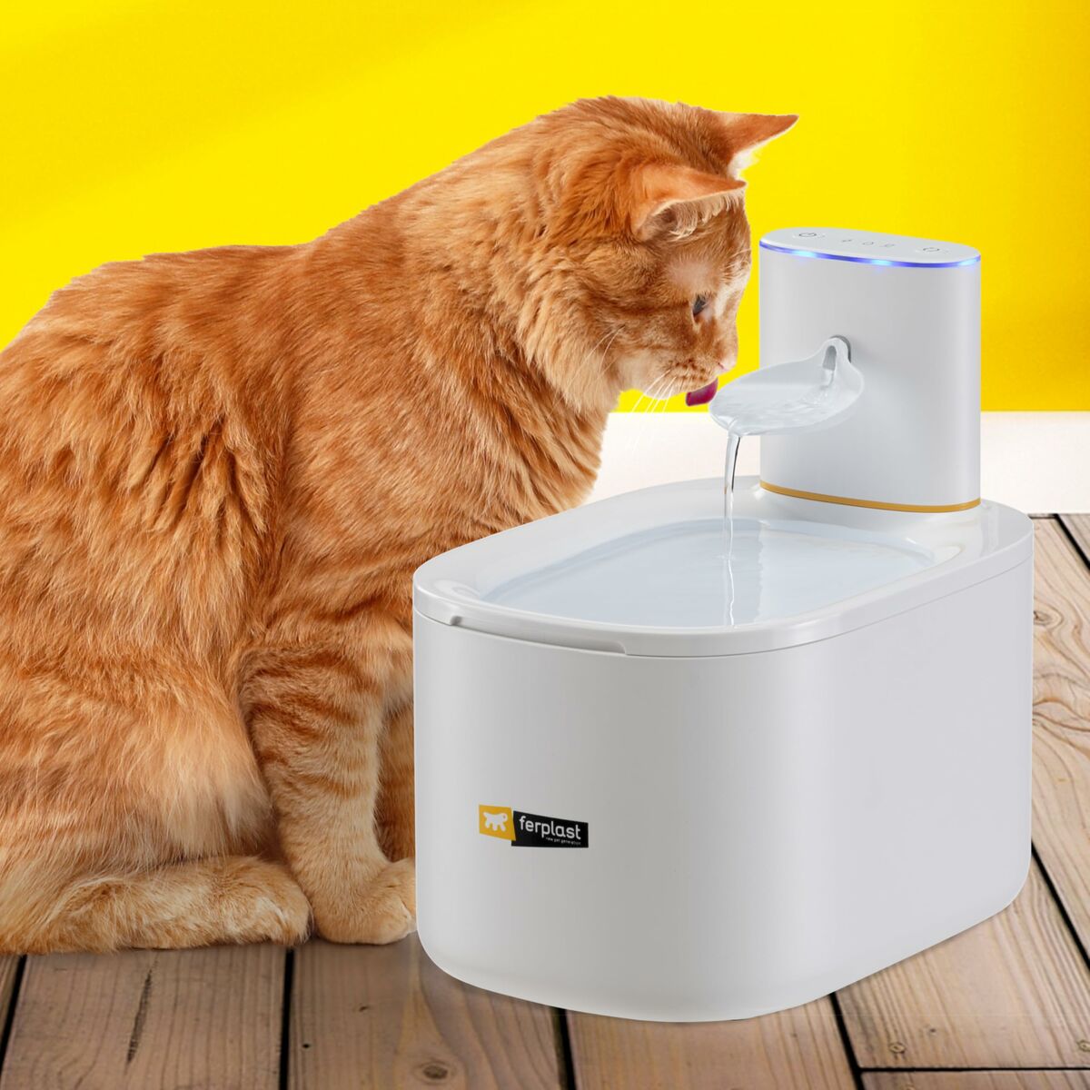 Dein Tier-Trinkbrunnen: Frisches Wasser, jederzeit!