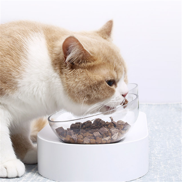 Verstellbarer Katzenschüssel 15° – Bild 2 | LuxeStyle