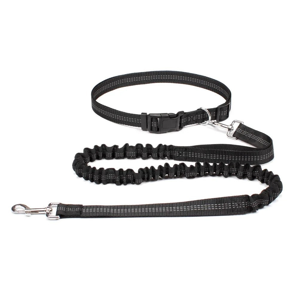 Elastische Laufleine für Hunde – Bild 7 | LuxeStyle