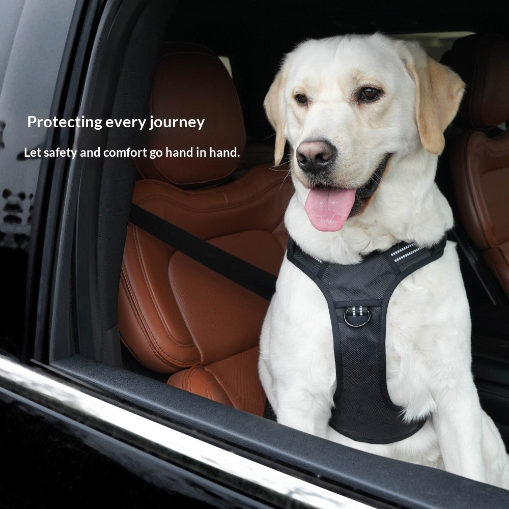 Leichtes Dual-Hundegeschirr für Auto & Traktion