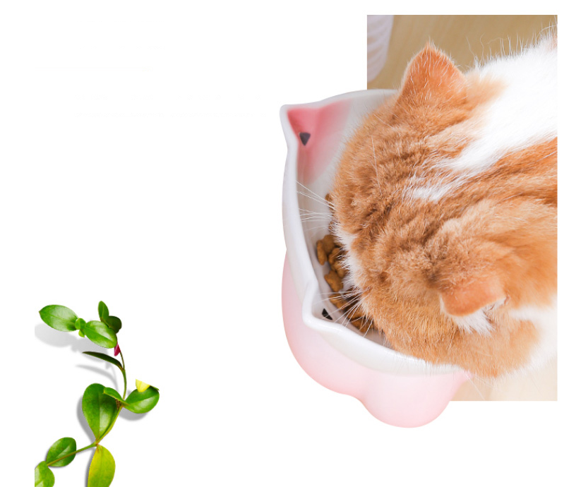 Keramik-Naschschale für Katze 300 ml – Bild 6 | LuxeStyle