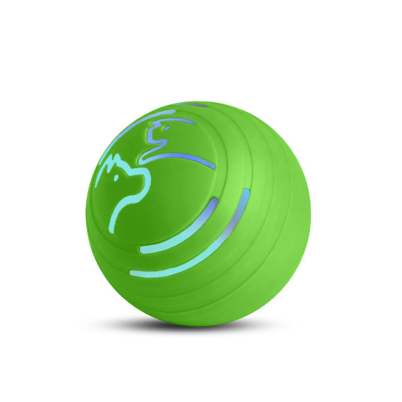Elektrovibration-Ball für Hunde & Katzen, beißfest