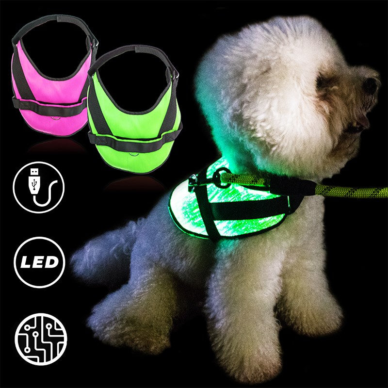 Luminierender Hundehalsrock – Bild 4 | LuxeStyle