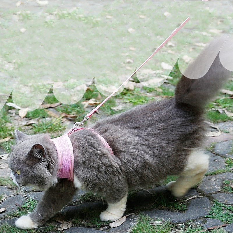 Anti-Rutsch Katzengeschirr – Bild 4 | LuxeStyle