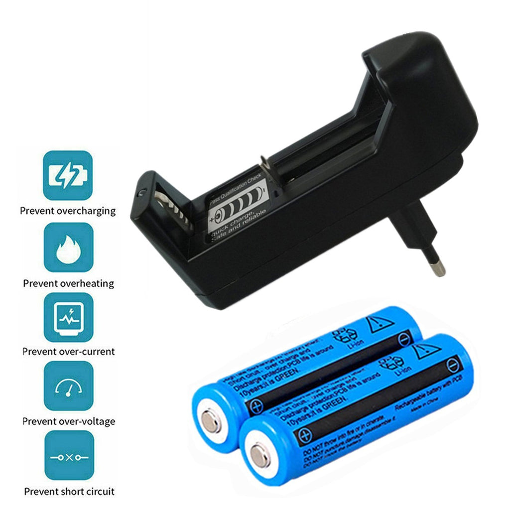 Akku-Ladegerät mit 2 Li-Ion Akkus 3.7V 3000mAh