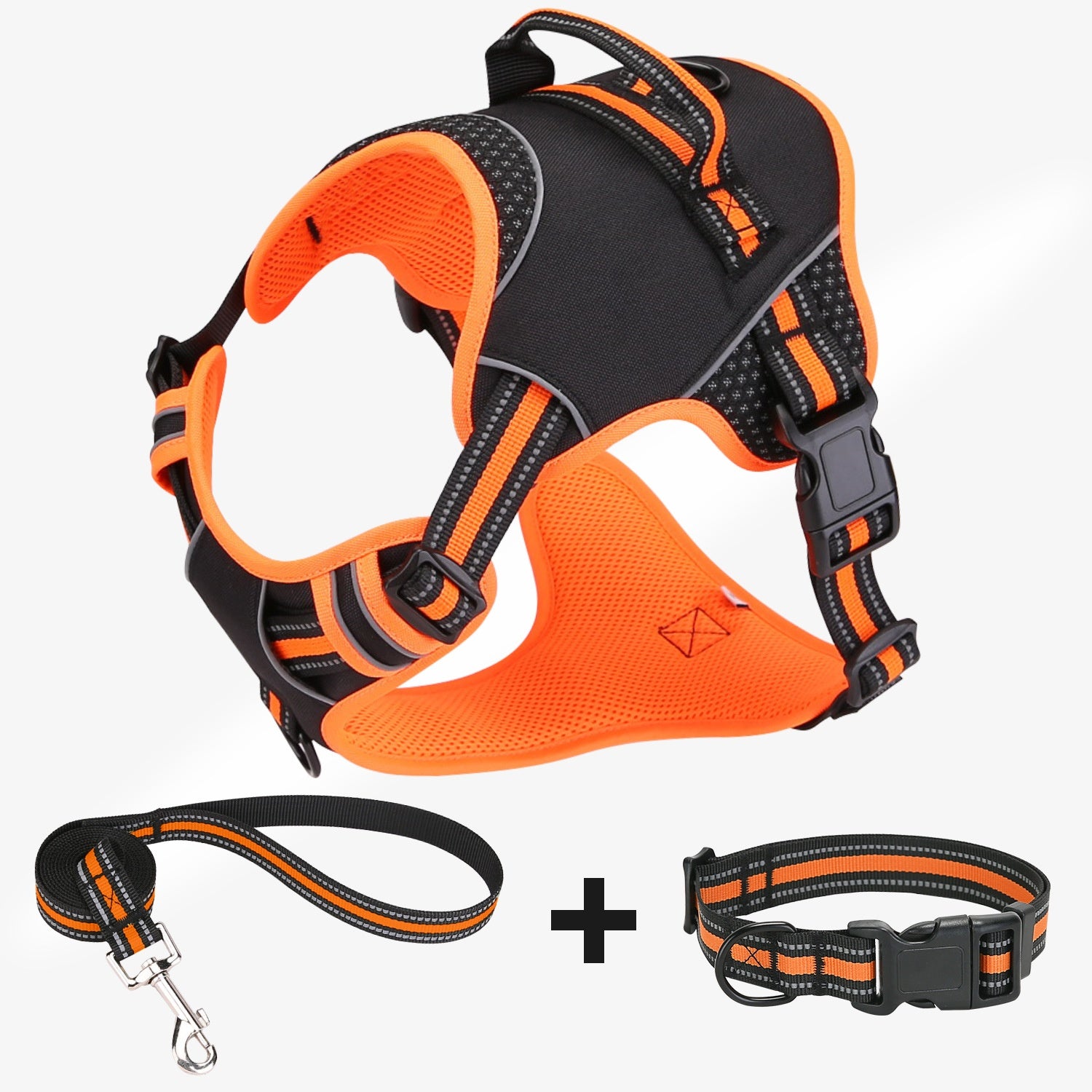 Hundegurt mit Sicherheitsverschluss für Outdoor-Training