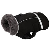 Farbe: Schwarz