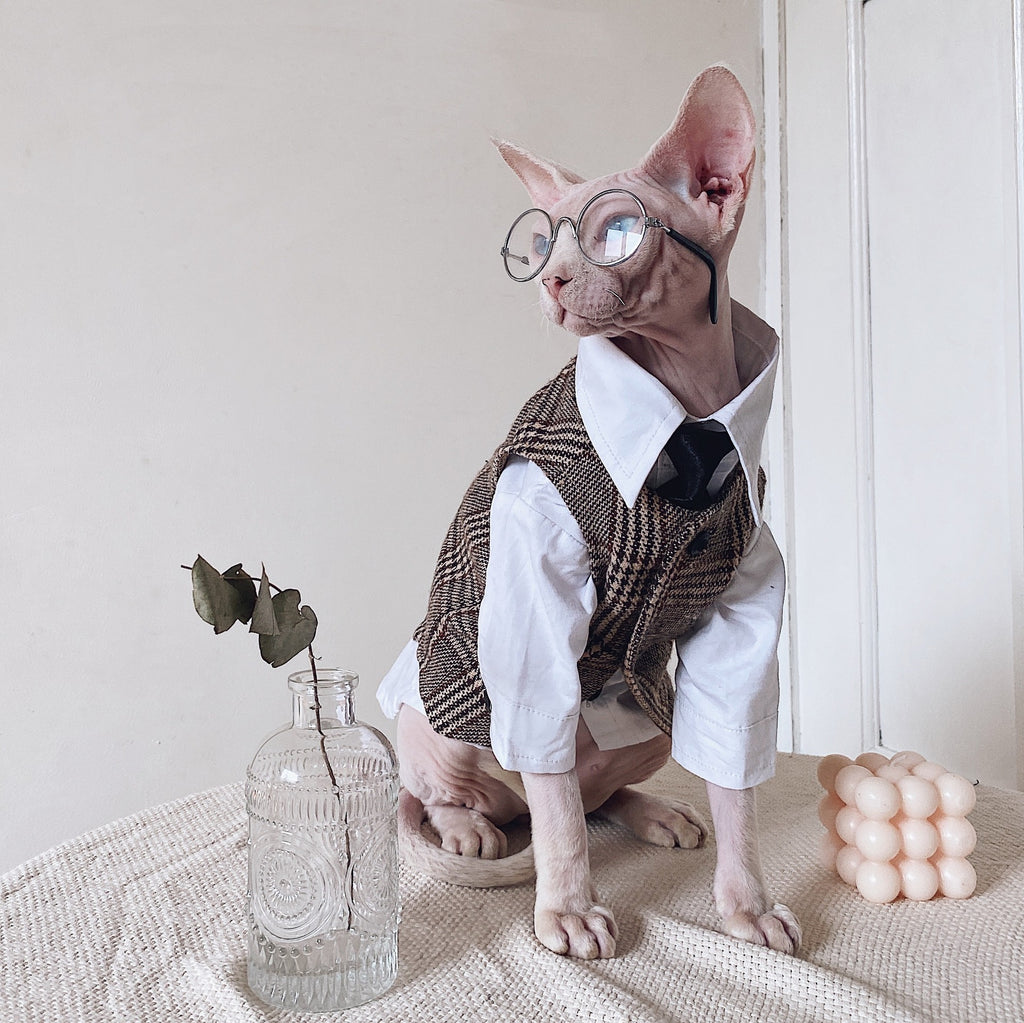 Anzug für haarlose Katzen