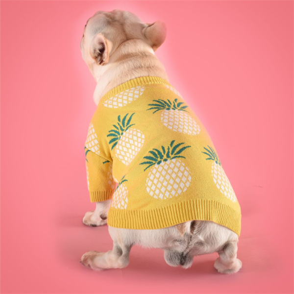 Ananaspullover aus Baumwolle – Bild 8 | LuxeStyle