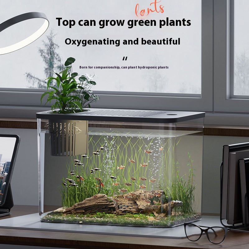 Mini-Betta-Aquarium für Wohnzimmer