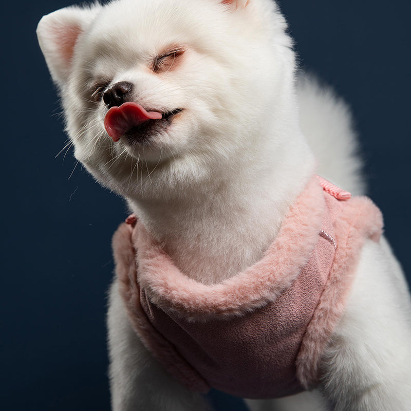 Hasen-Fleece-Geschirr für kleine bis mittelgrosse Hunde – Bild 3 | LuxeStyle