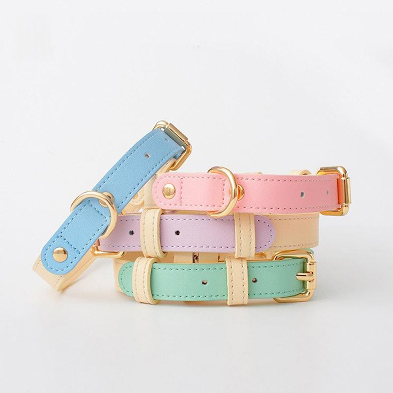 Lederhalsband für kleine bis mittelgrosse Hunde