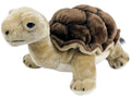 Plüsch Schildkröte