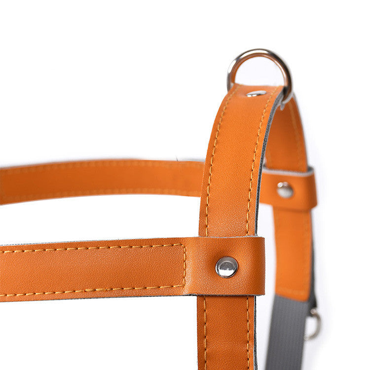 Hundegeschirr aus Leder mit Nylonleine – Bild 8 | LuxeStyle