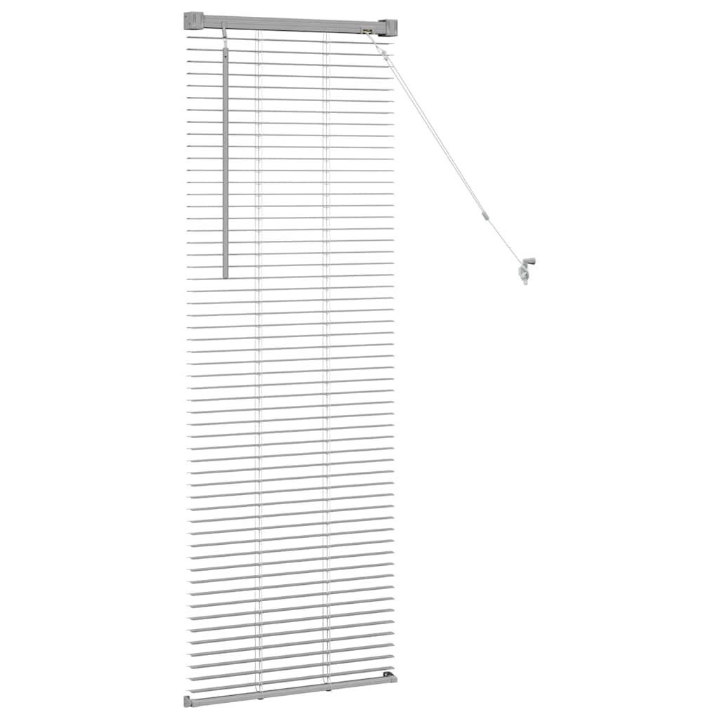 Modernes Jalousie mit Gardinen, silber