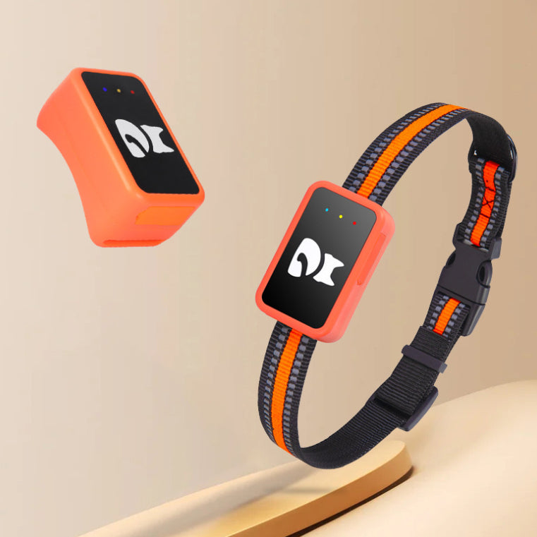GPS-Halsband für Haustiere: Anti-verloren & Anti-Diebstahl Tracker