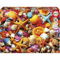 Puzzle «Educa» Muschel-Collage (1000 Teile)