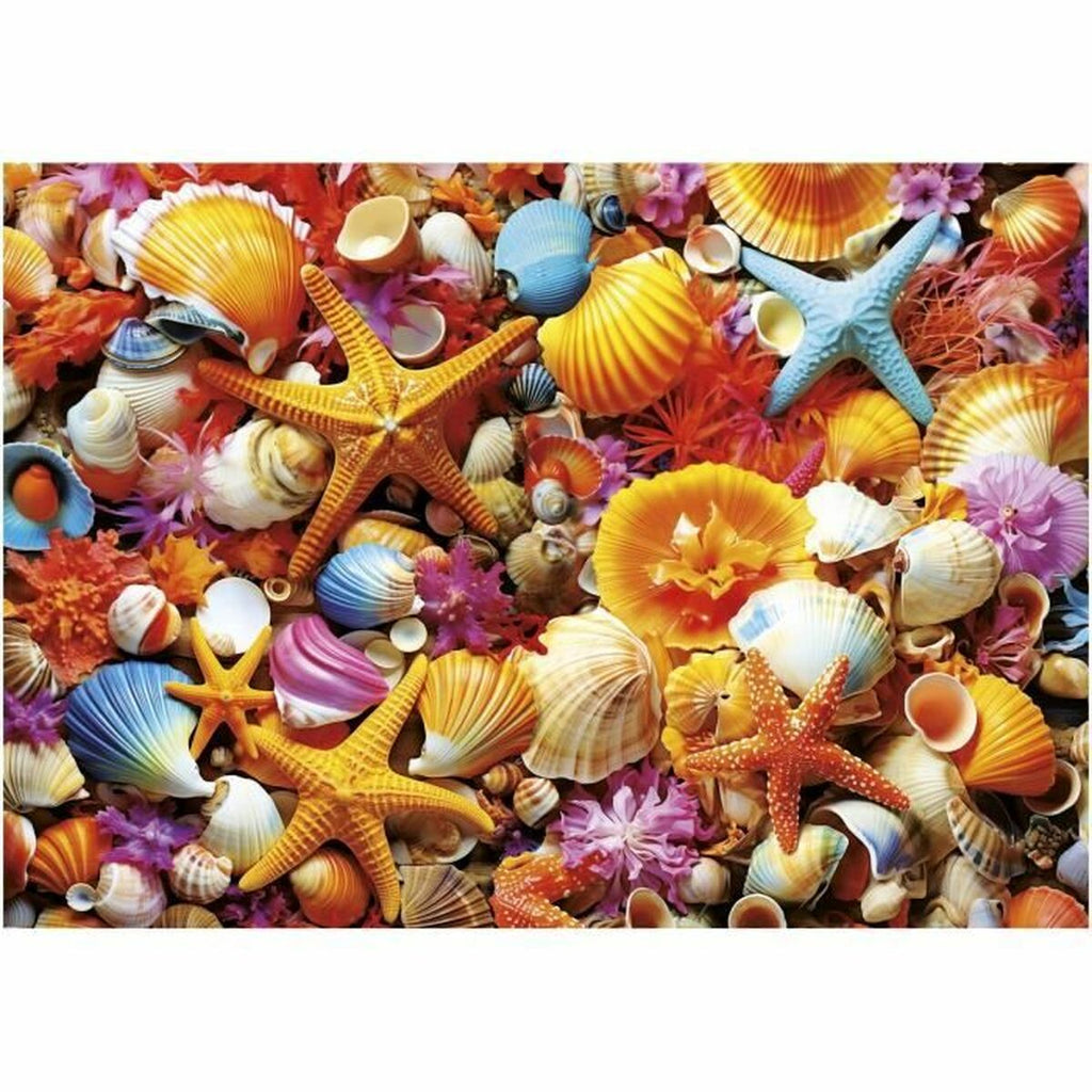 Puzzle «Educa» Muschel-Collage (1000 Teile)