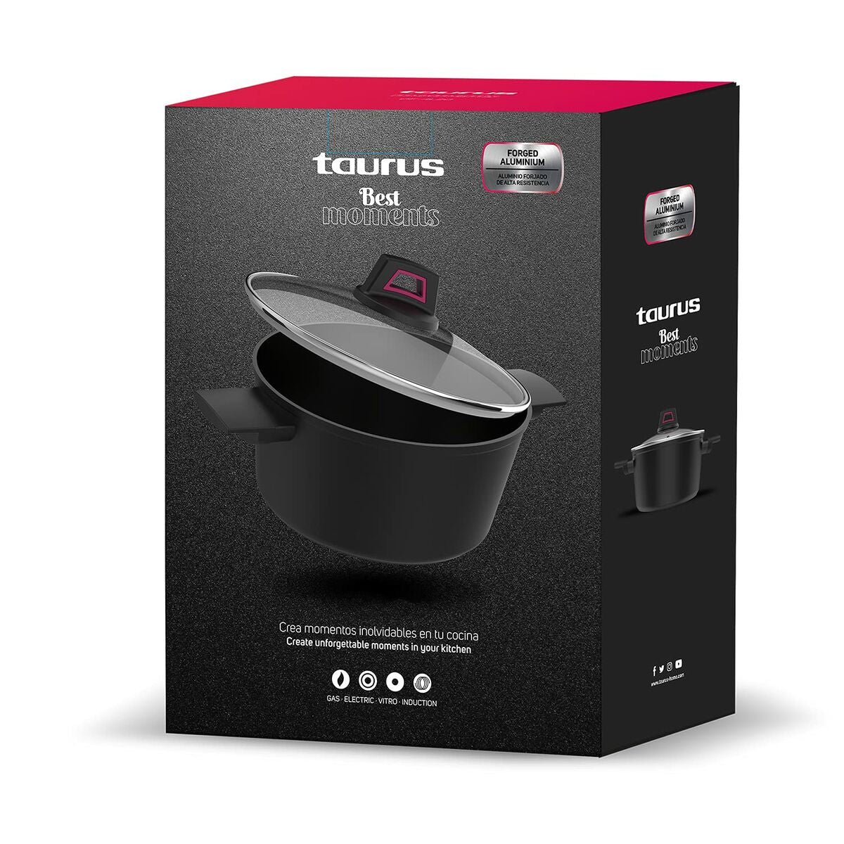 Topf mit Deckel Taurus Schwarz 2 L 20 cm