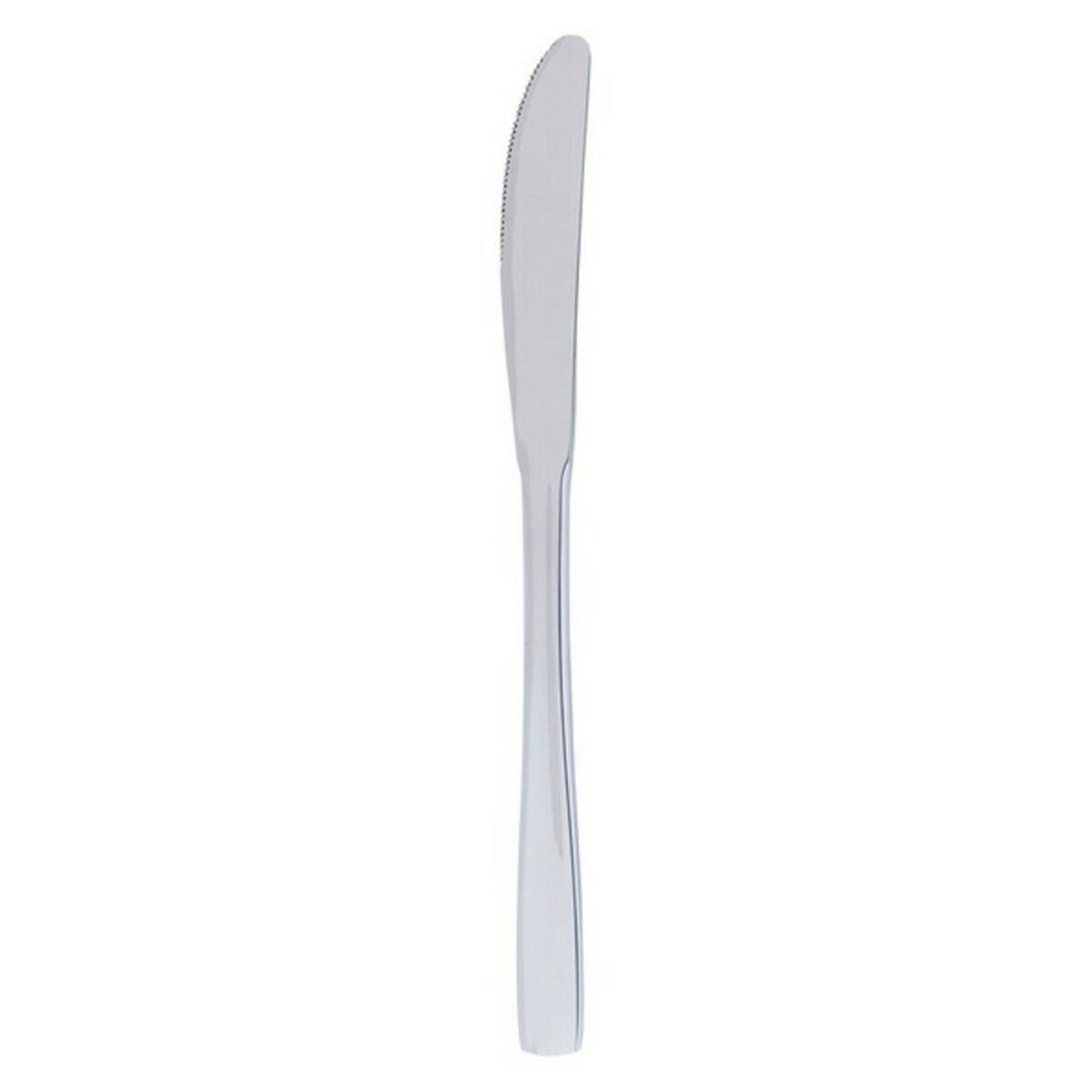 Messerset Quid Hotel Metall Edelstahl 21,4 cm 12 Stück – LuxeStyle Schweiz