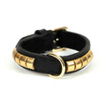Halsband Schwarz Gold – Eleganz & Stil für deinen Liebling