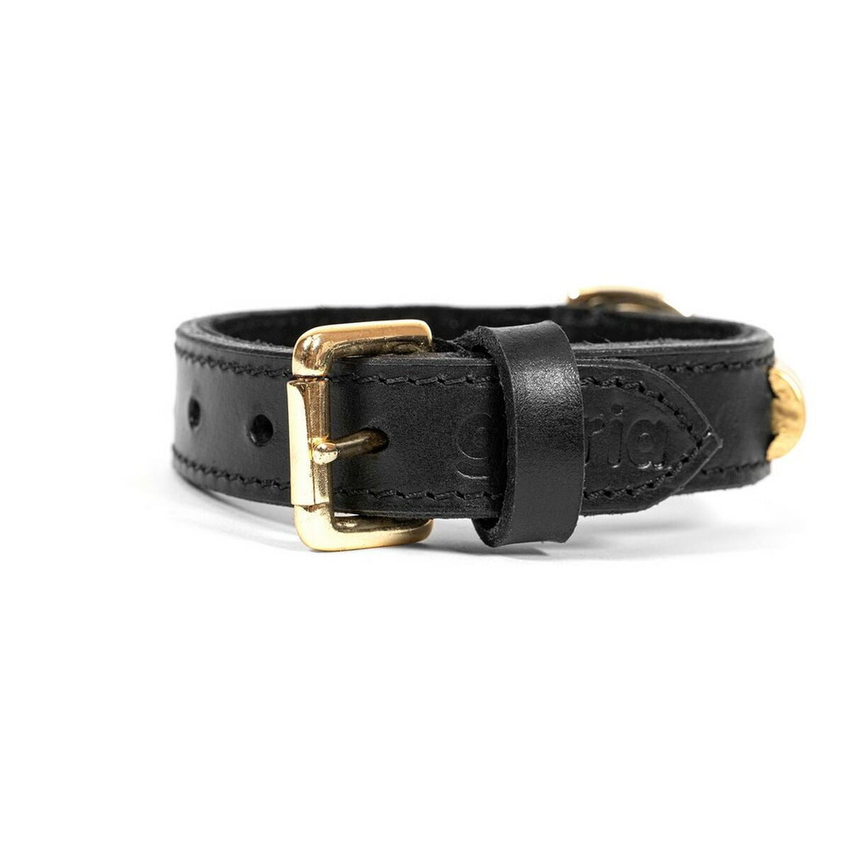 Halsband Schwarz Gold – Eleganz & Stil für deinen Liebling