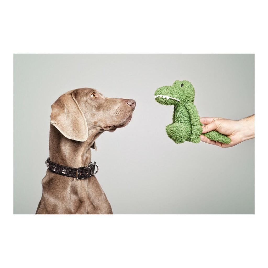 Kuscheltier für Hunde Gloria Pinky grün Polyester Polypropylen Krokodil