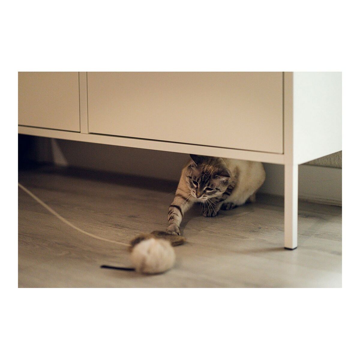 Katzenspielzeug Gloria Renzo Mouse – LuxeStyle Schweiz