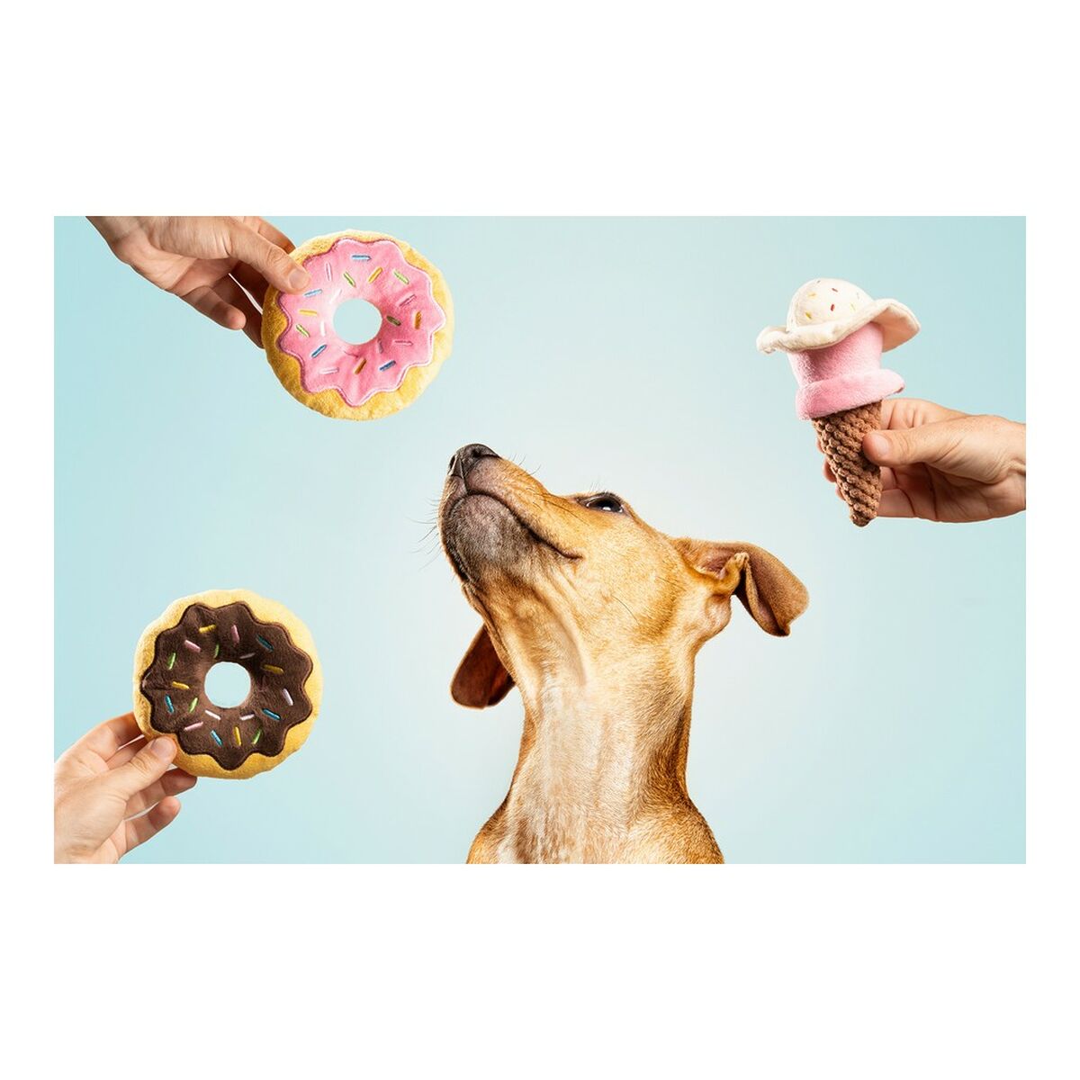Eiscreme-Spielzeug für Hunde – Süsser Spass garantiert! – Ansicht 5