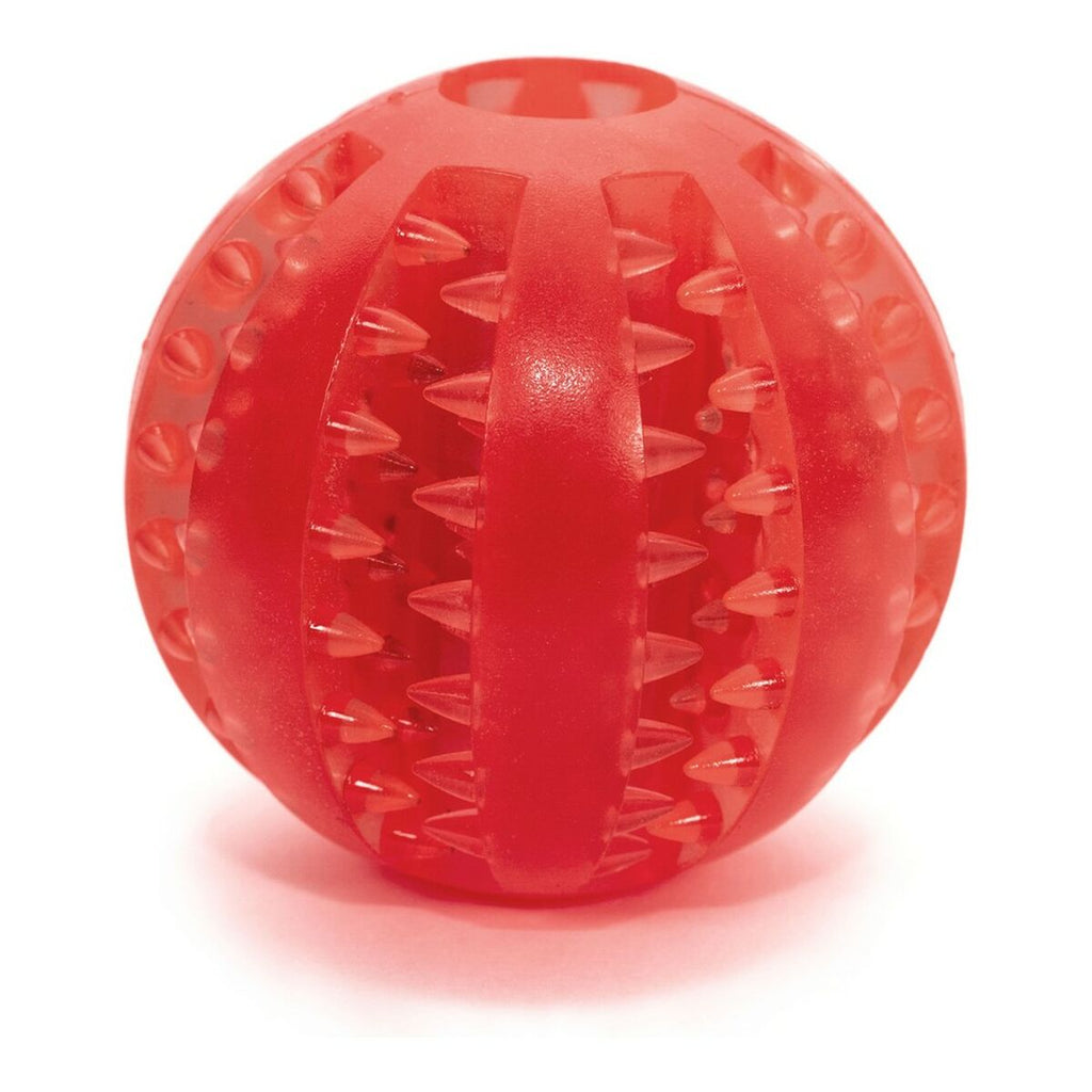 Hundespielzeug Gloria Zahnpflege Bunt 6 cm TPR – LuxeStyle Schweiz