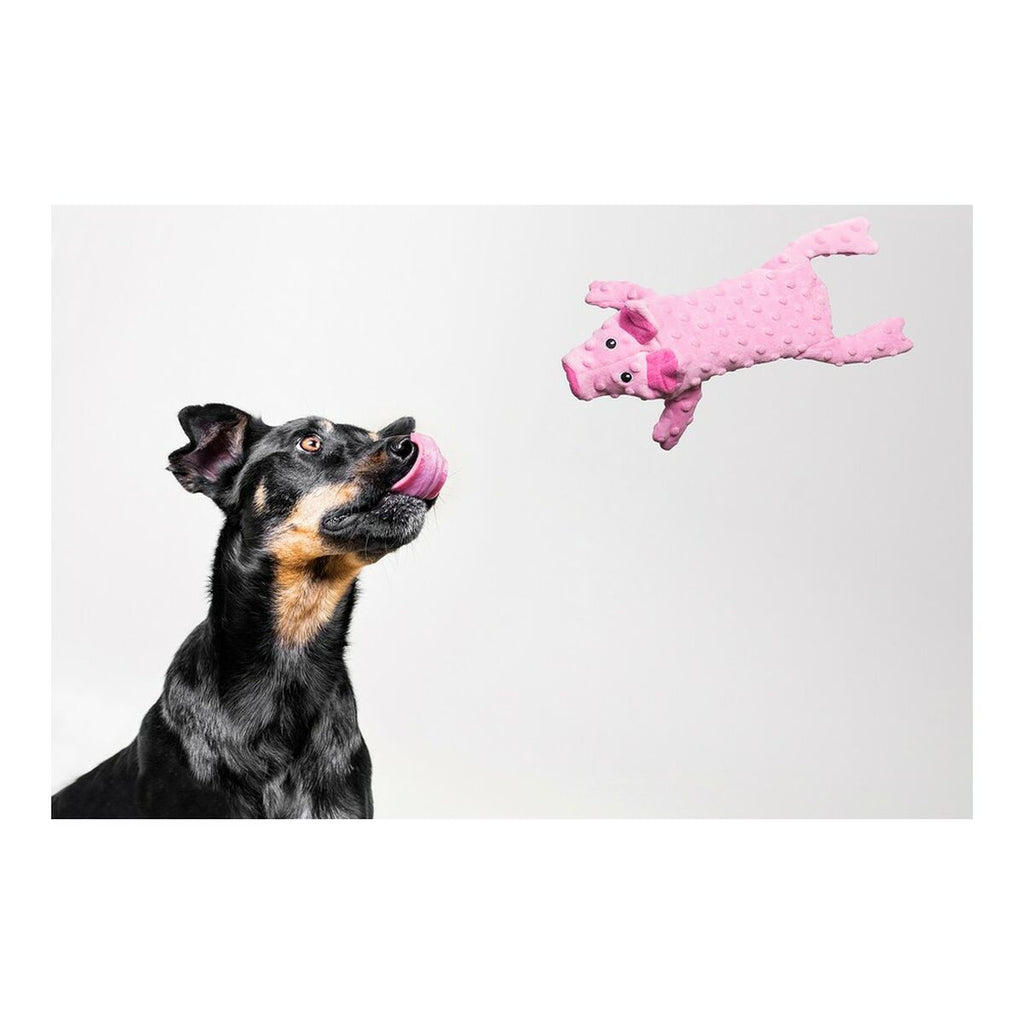 Kuscheltier für Hunde Gloria Dogmonsters Rosa 100 % polyester Schwein 34 x 9 cm
