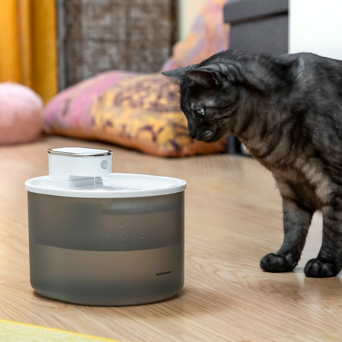 Smarter Katzenbrunnen: Frisches Wasser, kabellos!
