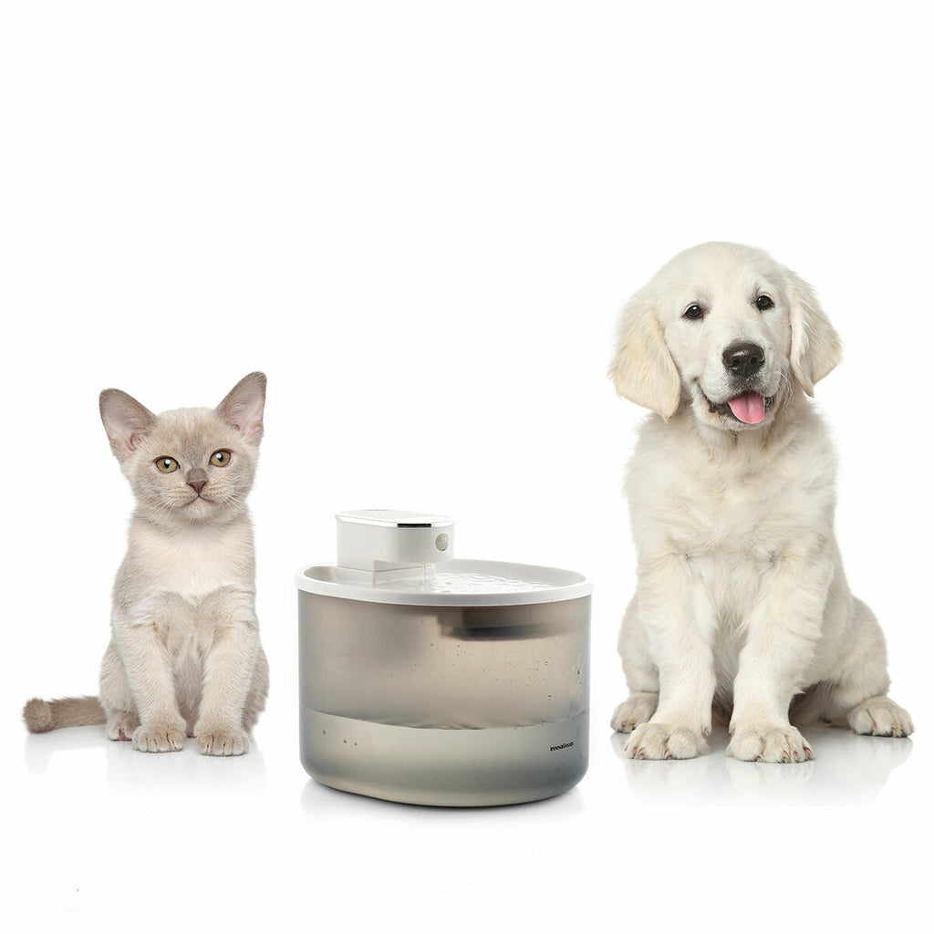 Smarter Katzenbrunnen: Frisches Wasser, kabellos! – Ansicht 5
