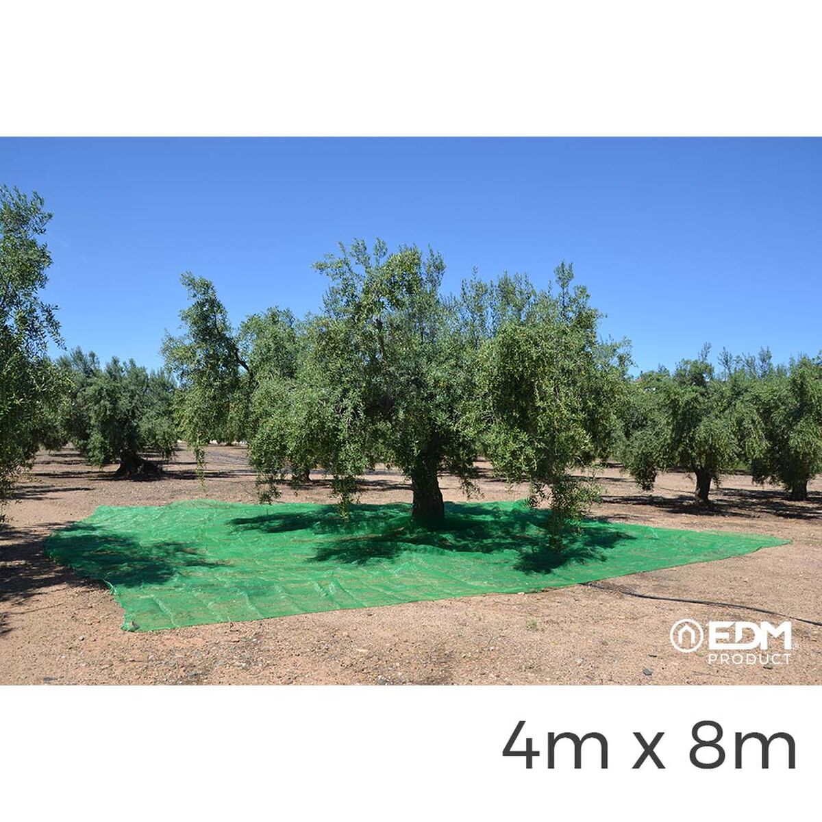 Leggings EDM Obstpflücker grün Polypropylen 4 x 8 m