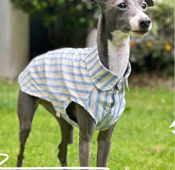 Baumwoll-Shirt für Hunde – Bild 3 | LuxeStyle