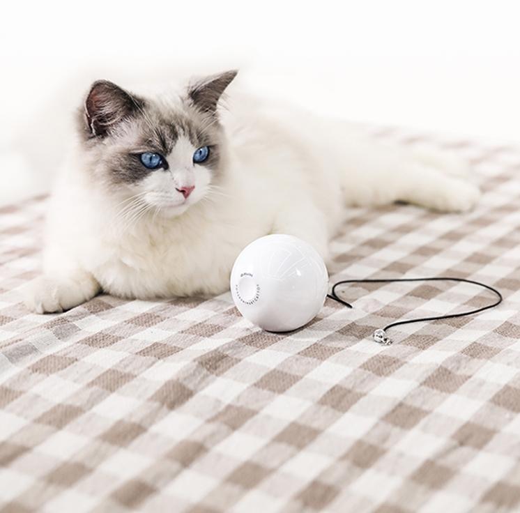Intelligenter Katzenball – Bild 4 | LuxeStyle